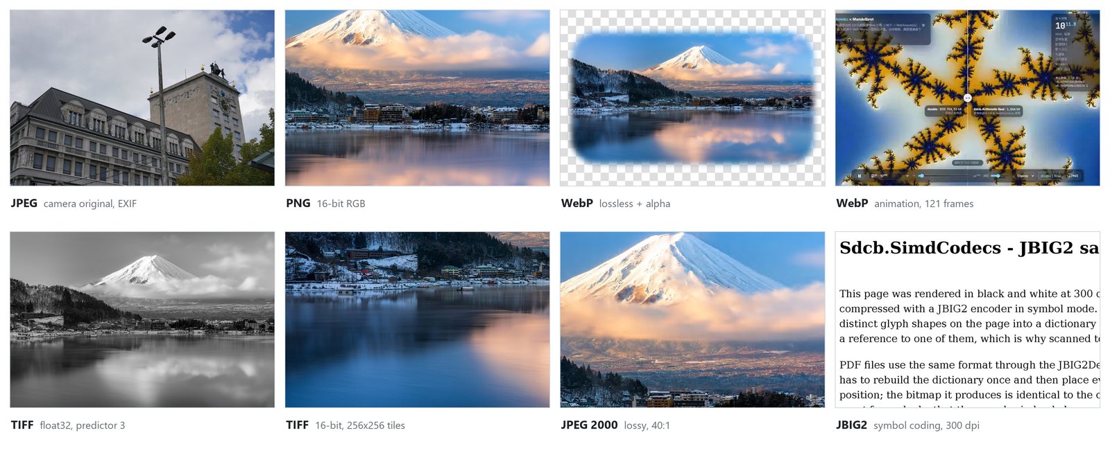 JPEG、PNG、WebP、TIFF、JPEG 2000 与 JBIG2 图片拼图,全部由 Sdcb.SimdCodecs 解码